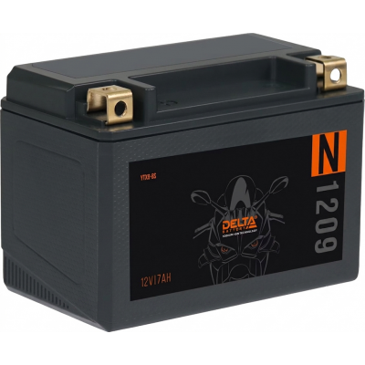 Delta N 1209 (7 а/ч) YTX9-BS