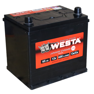 WESTA  Asia  6СТ-65 VLR Euro