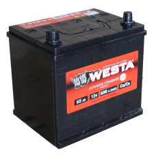 WESTA  Asia  6СТ-65 VL рус.