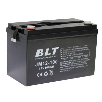 BLT 12V100 Ah (M8)