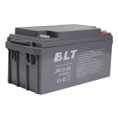 BLT 12V 65 Ah (M8)