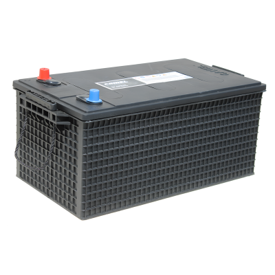 CAMEL AGM 6-QFD 12V 220Ah euro