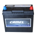 CAMEL AGM Asia B24L 12V 45Ah euro