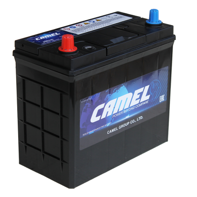 CAMEL Asia 65B24RS 12V 48Ah рус. (тонкие клеммы)