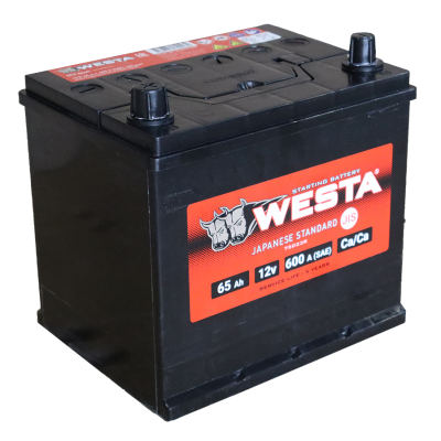 WESTA Asia 6СТ-65 VL рус.