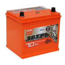 ЗВЕРЬ EFB Азия 6СТ-70 Евро