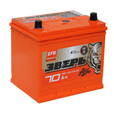 ЗВЕРЬ EFB Азия 6СТ-70 Евро