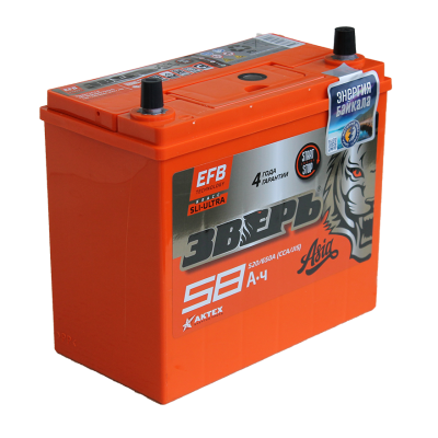 ЗВЕРЬ EFB Азия 6СТ-58 Евро