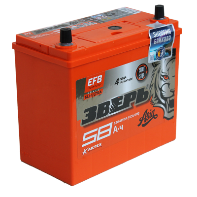 ЗВЕРЬ EFB Азия 6СТ-58 рус.